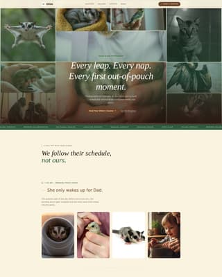 Glide - Heartfelt Sugarglider Landing Page Template