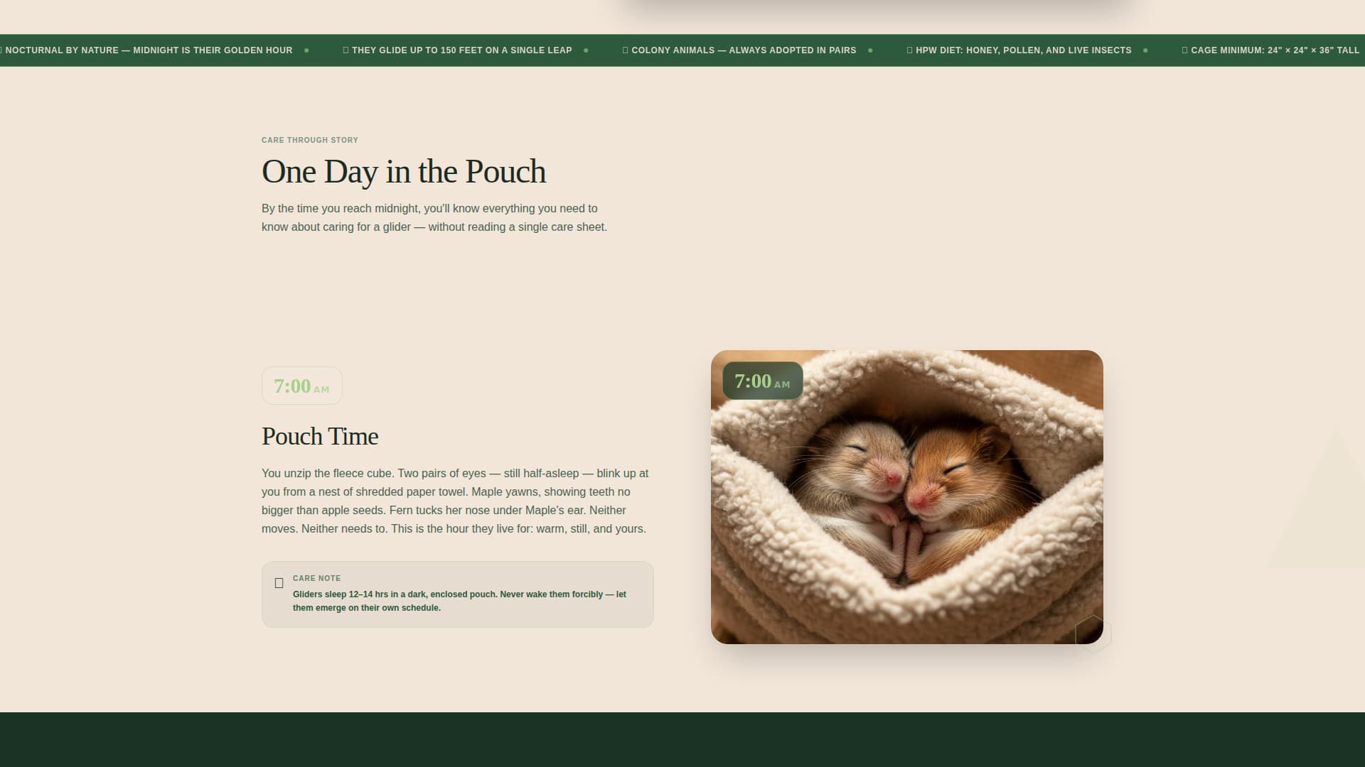 Glide - Heartwarming Rescue Landing Page Template