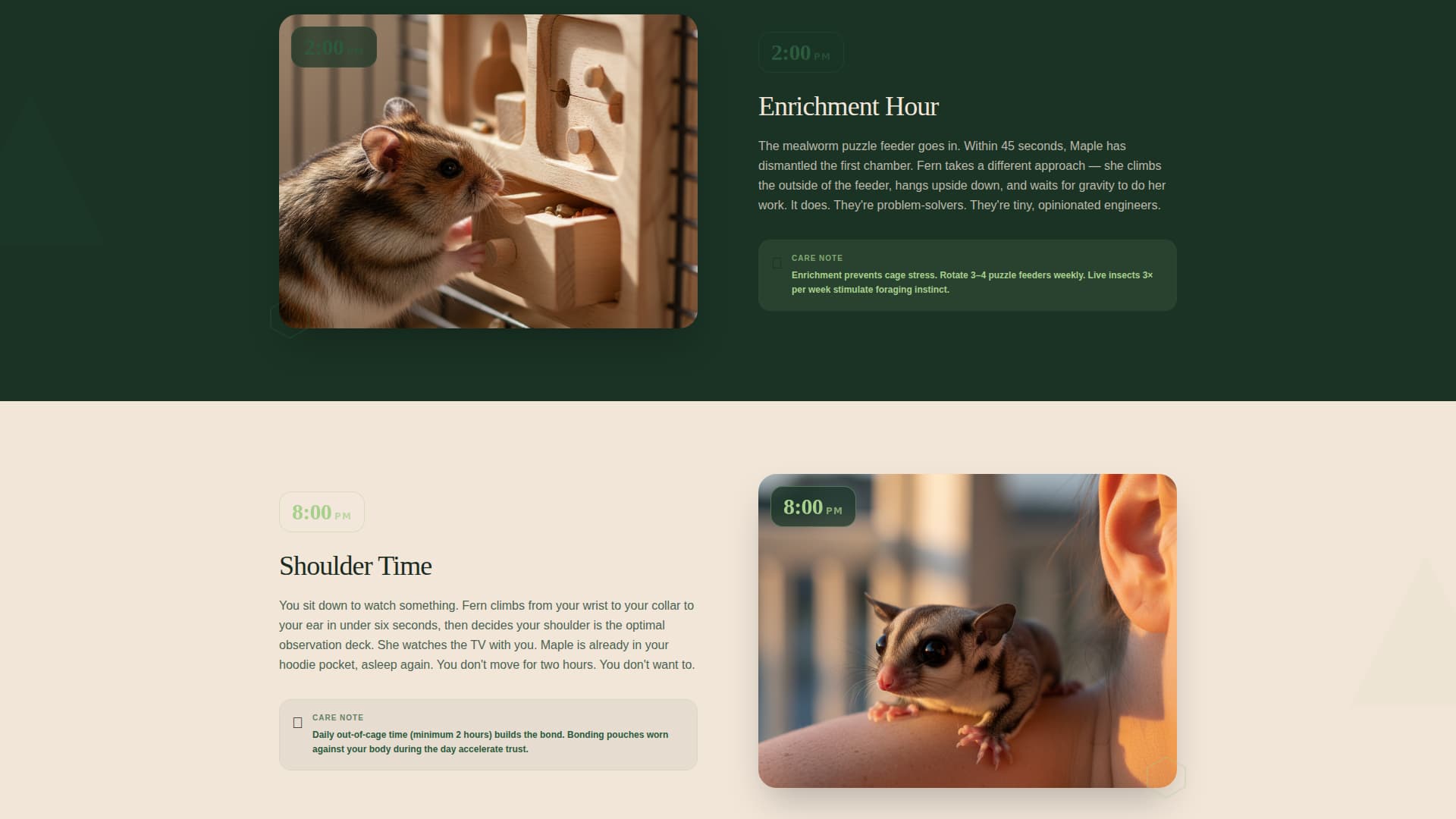 Glide - Heartwarming Rescue Landing Page Template