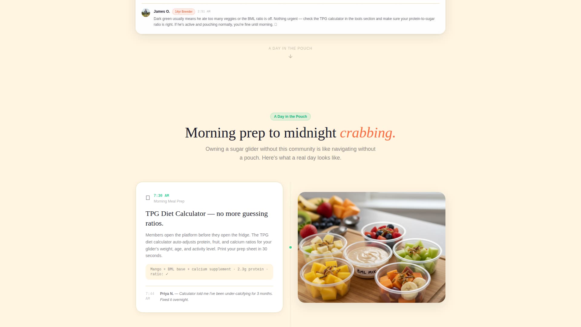 Glide - Vibrant Community Landing Page Template
