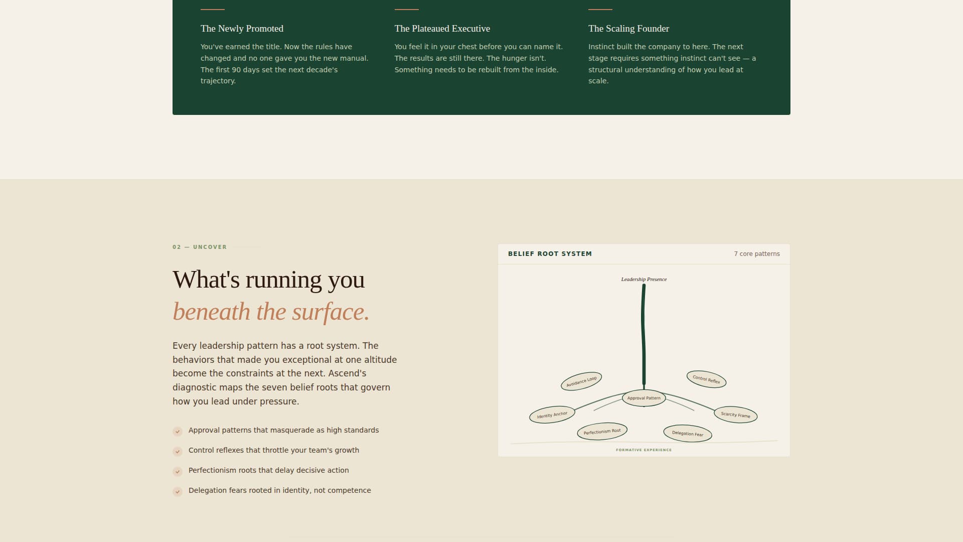 Ascend - Transformative Executive Landing Page Template