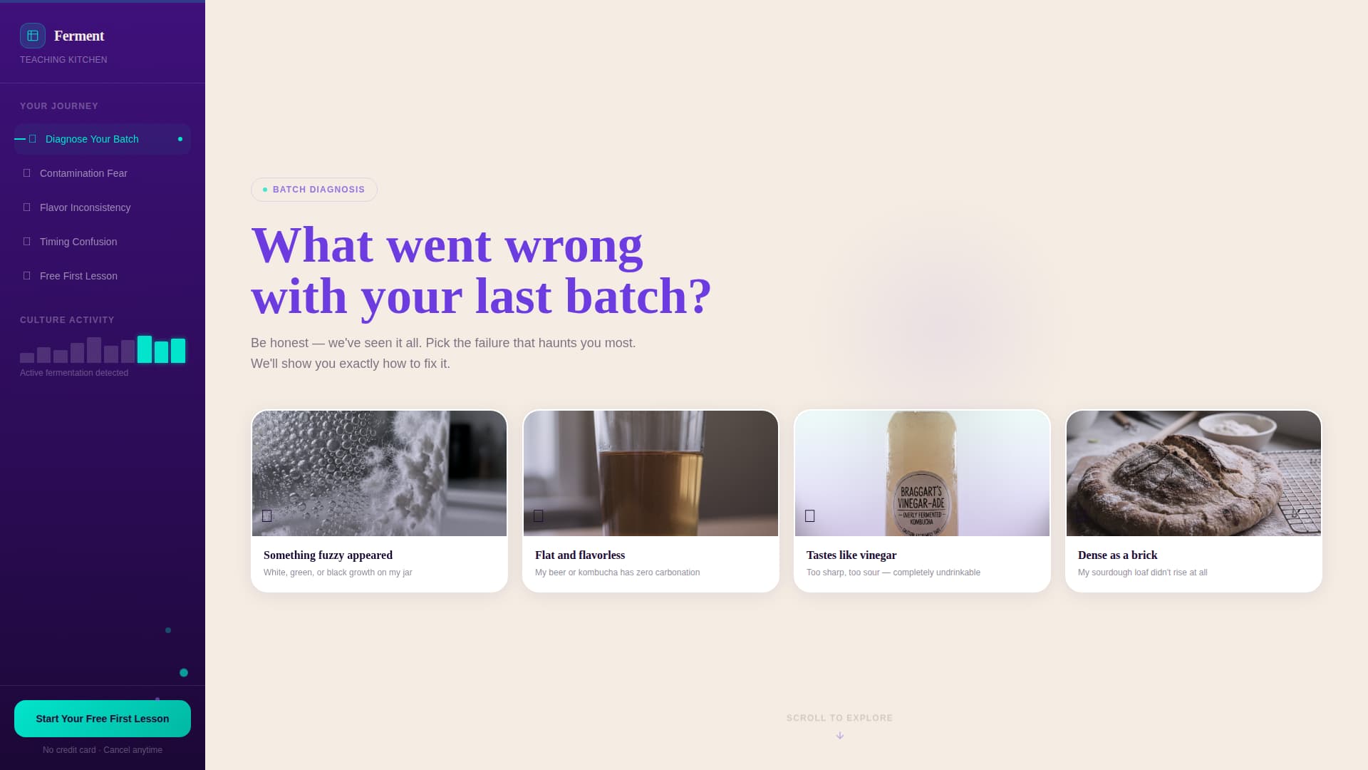 Fermentation - Highconverting & Landing Page Template