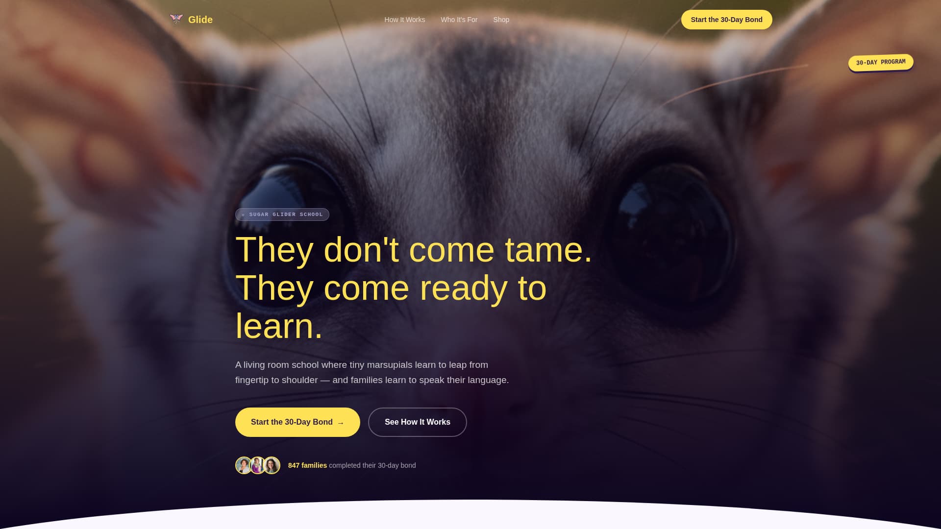 Glide - Joyful Sugarglider Landing Page Template