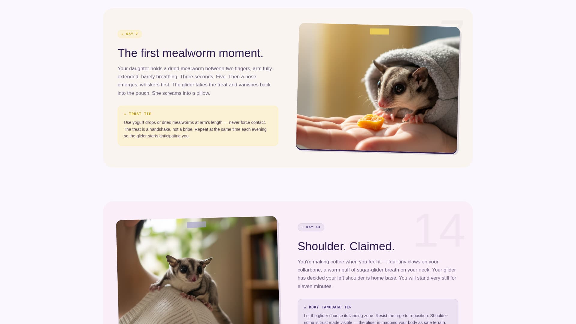 Glide - Joyful Sugarglider Landing Page Template