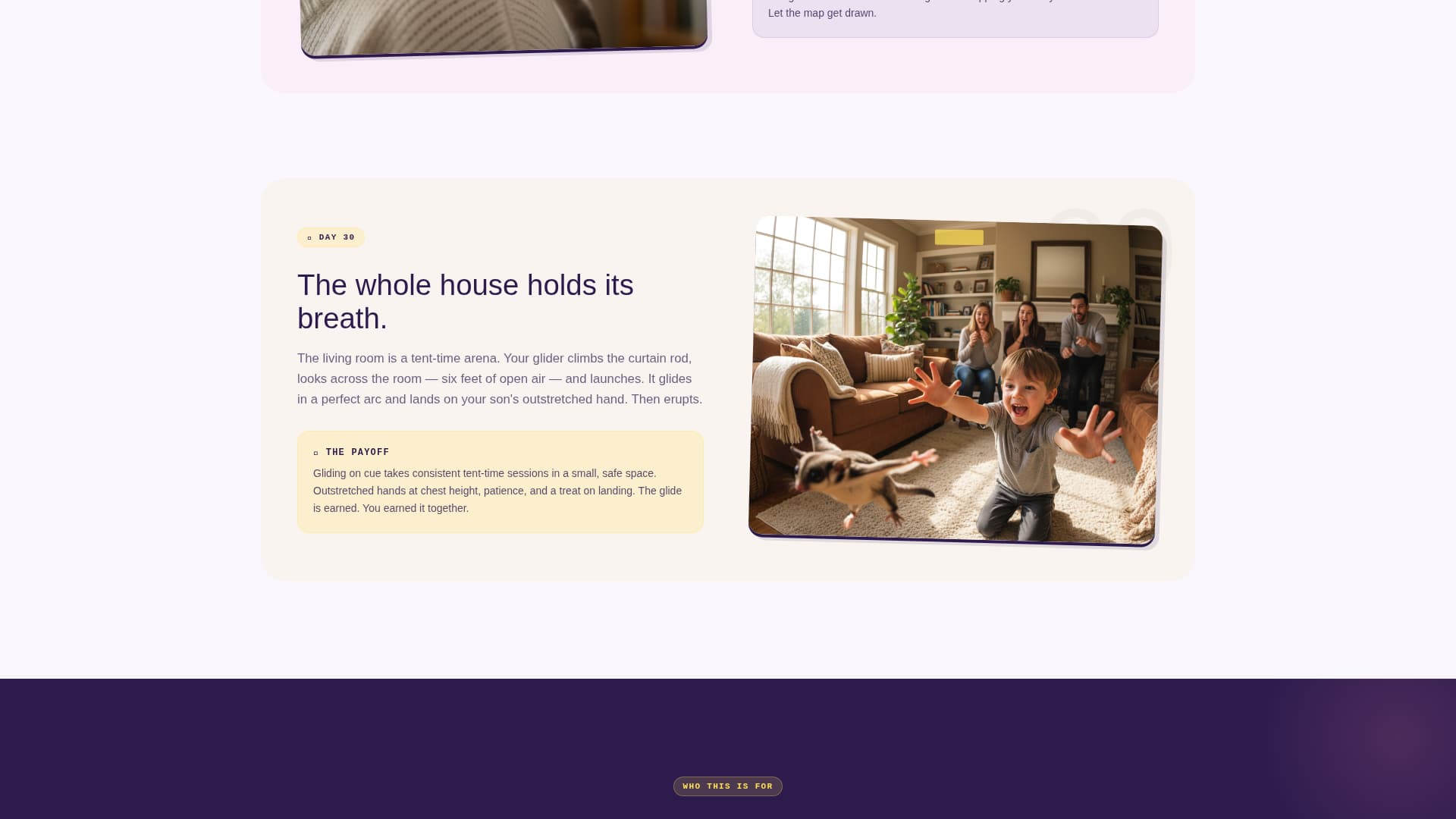 Glide - Joyful Sugarglider Landing Page Template