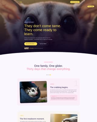 Glide - Joyful Sugarglider Landing Page Template