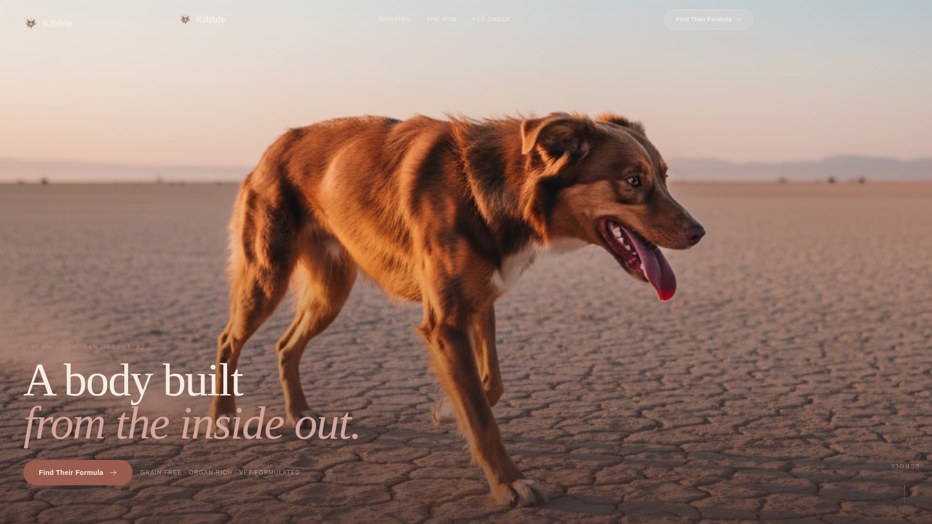 Kibble - Nourishing Veterinary Landing Page Template