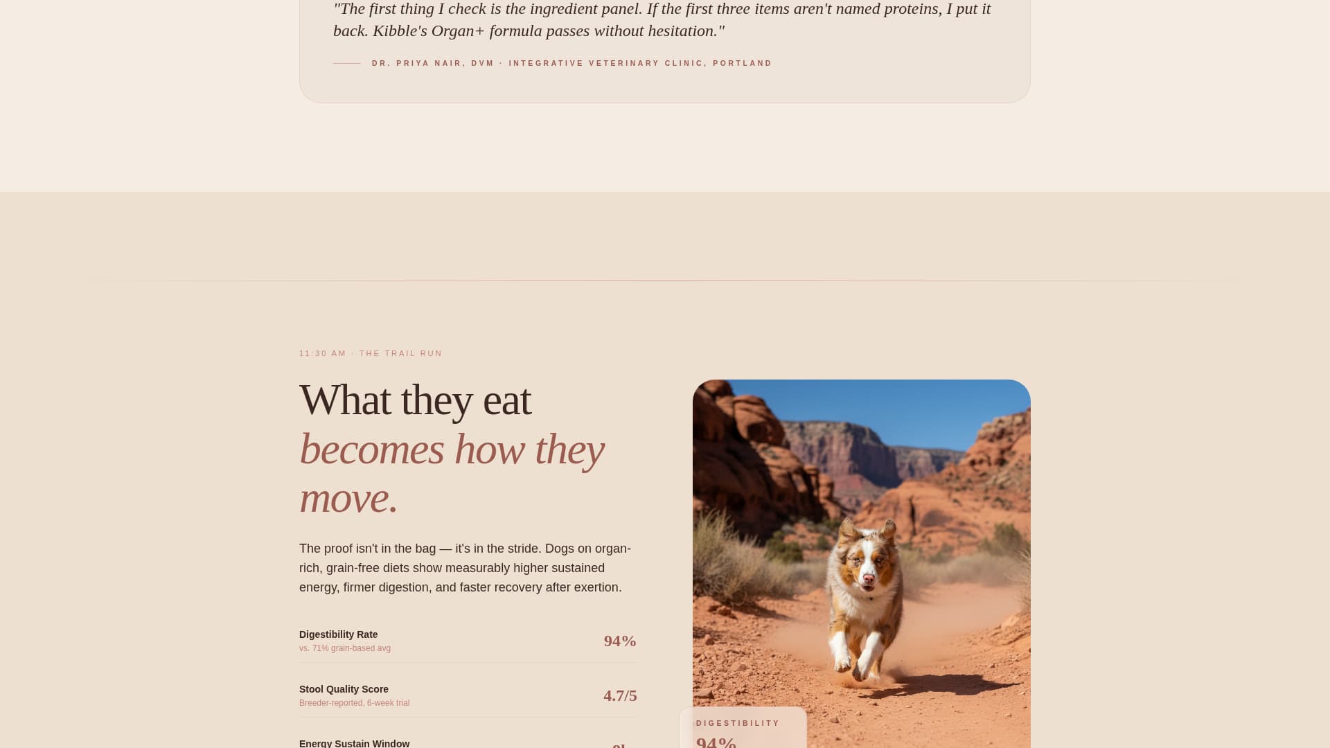 Kibble - Nourishing Veterinary Landing Page Template