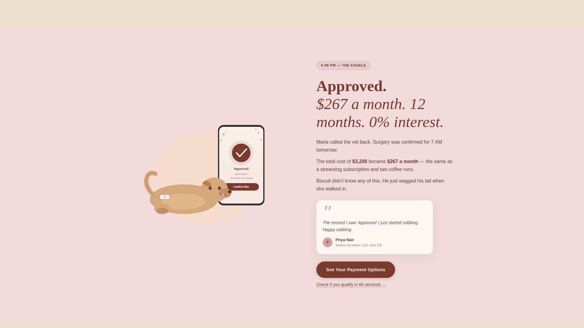 Pawfund - Heartfelt Veterinary Landing Page Template