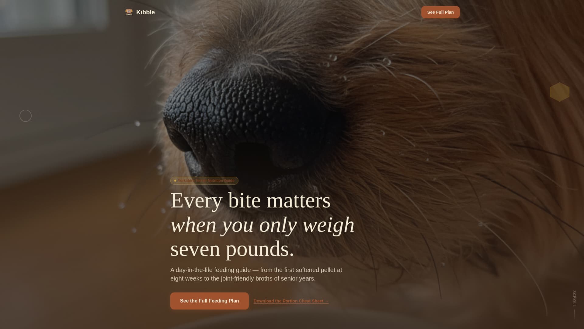 Kibble - Trusted Yorkie Landing Page Template
