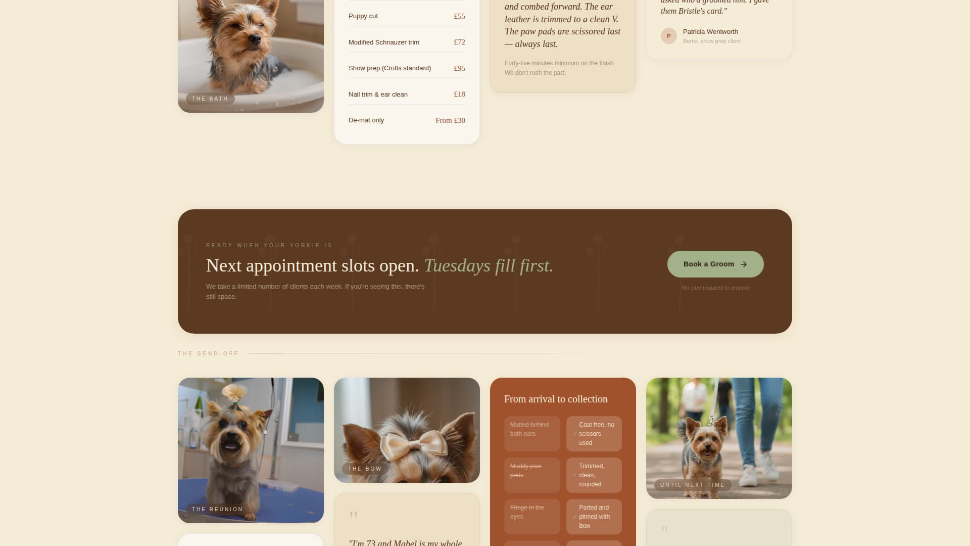 Bristle - Artisan Grooming Landing Page Template