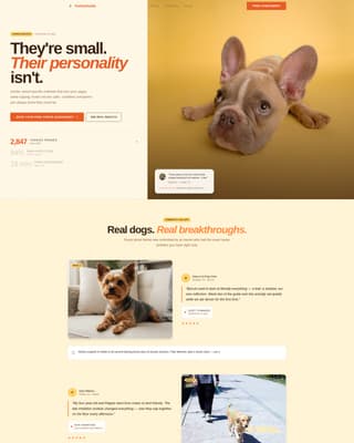 Yorkie - Breedspecific Training Landing Page Template