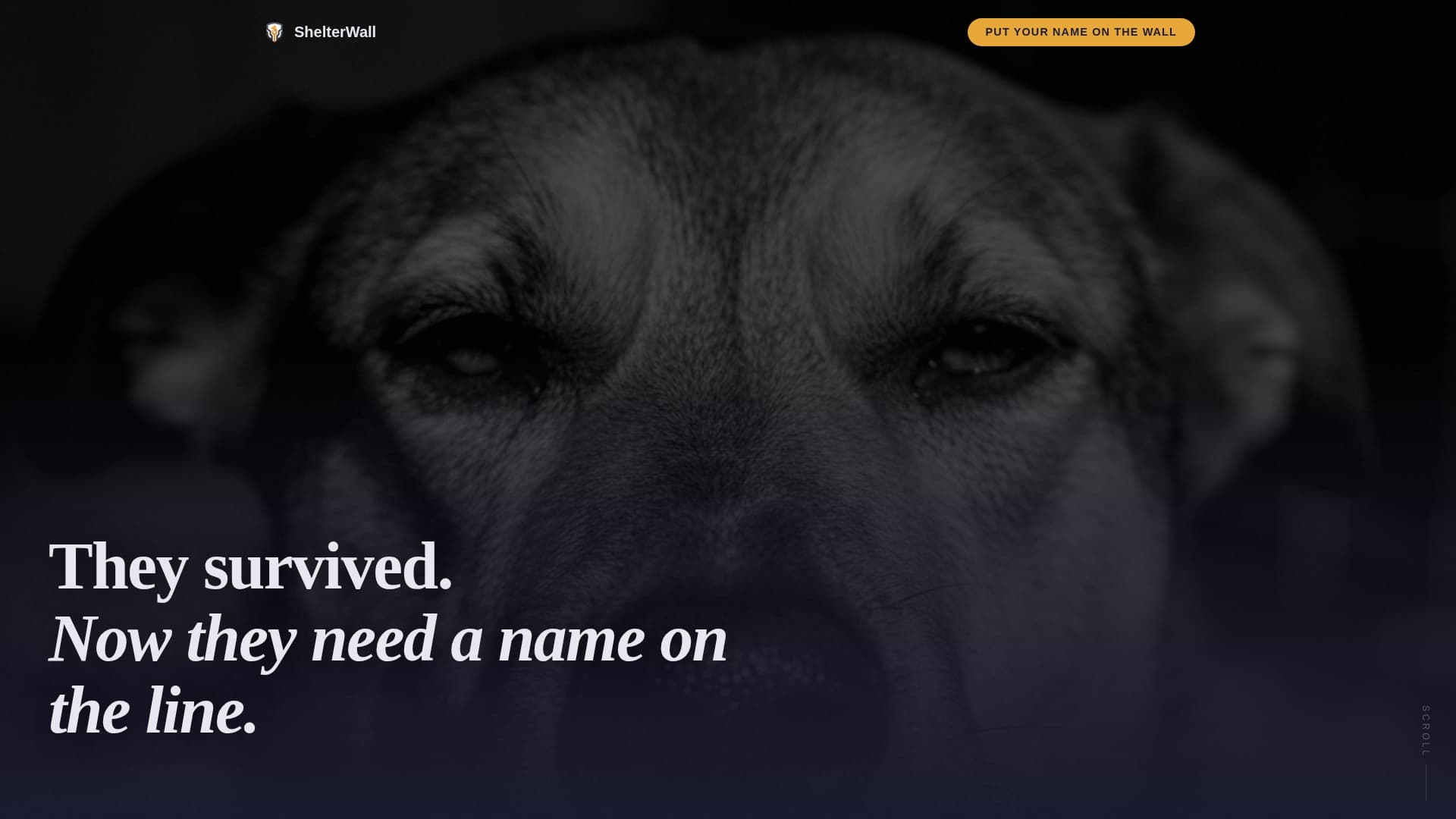 Shelter - Immersive Rescue Landing Page Template