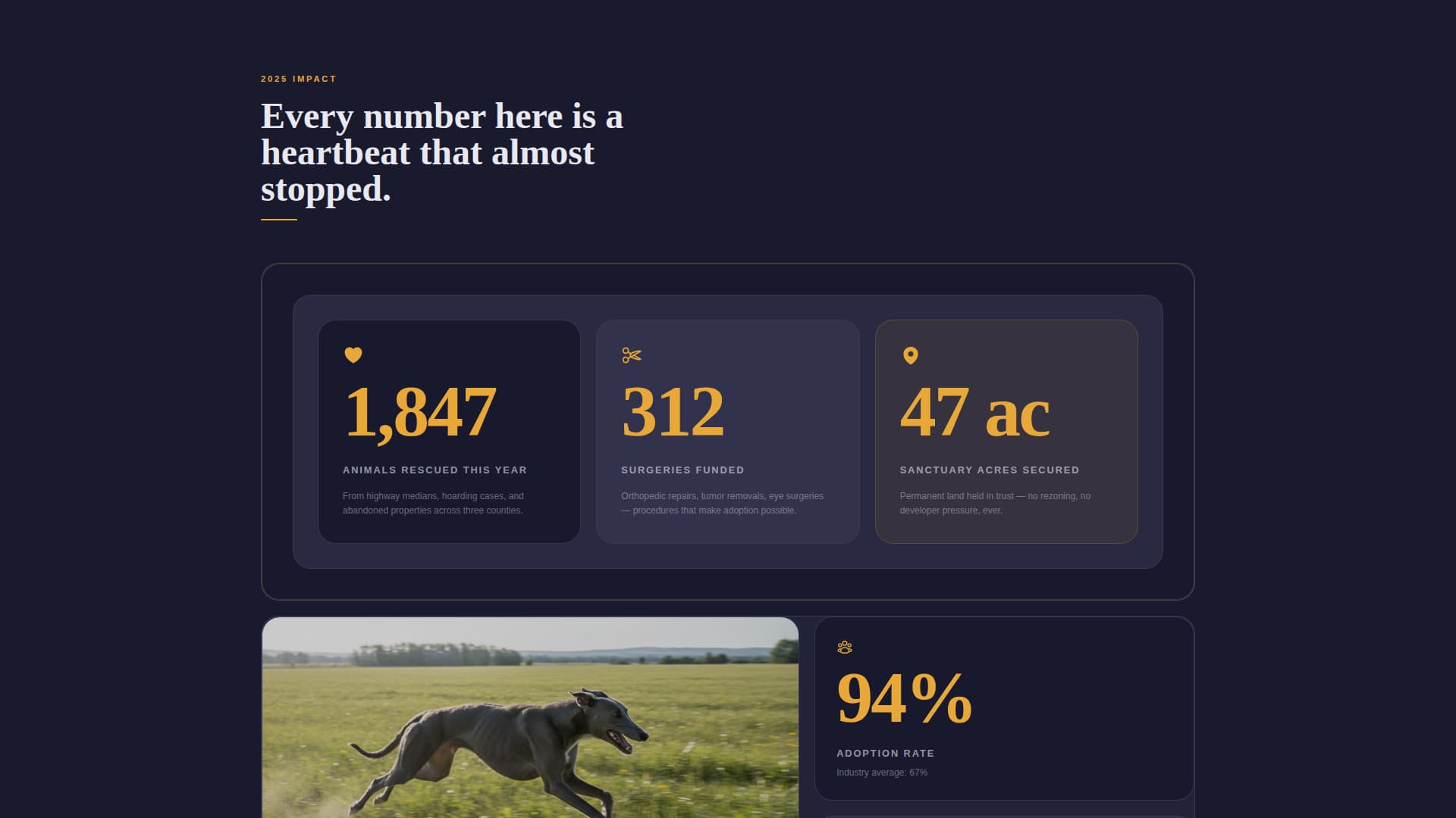 Shelter - Immersive Rescue Landing Page Template