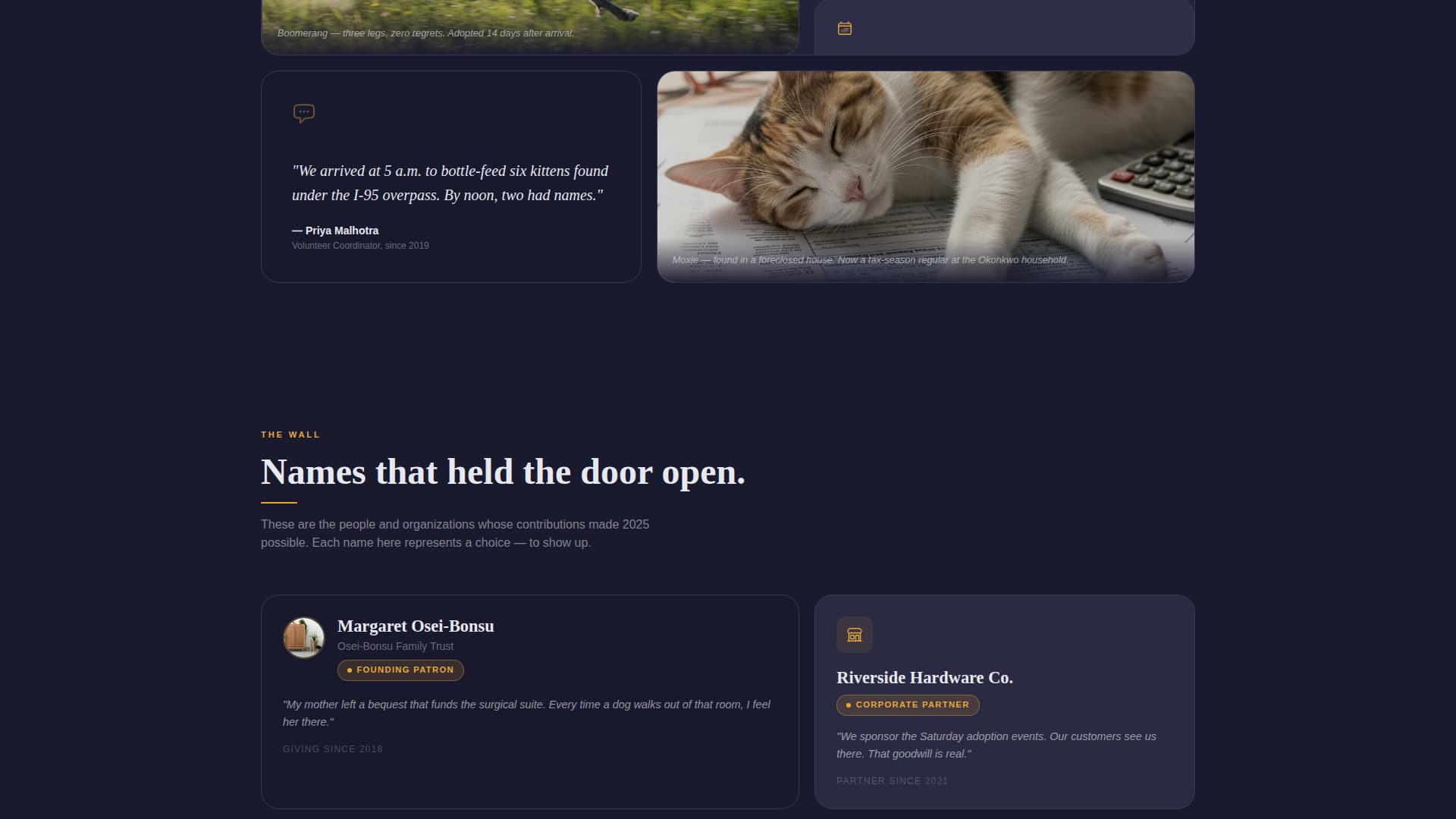 Shelter - Immersive Rescue Landing Page Template