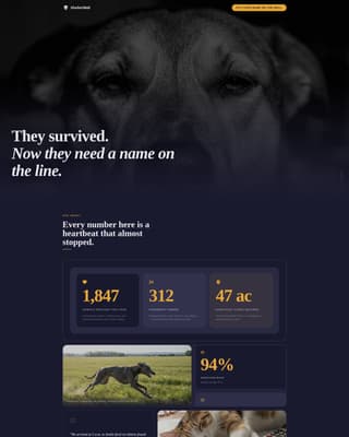 Shelter - Immersive Rescue Landing Page Template