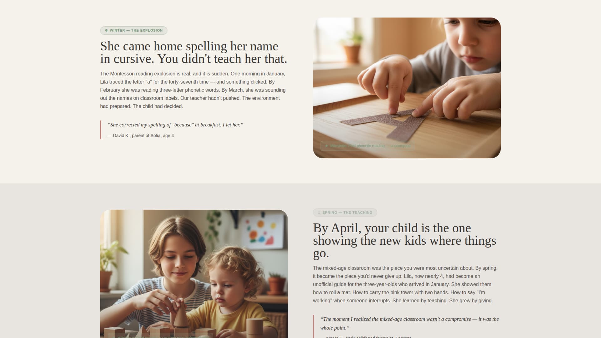 School (K-12) Booking Website Template