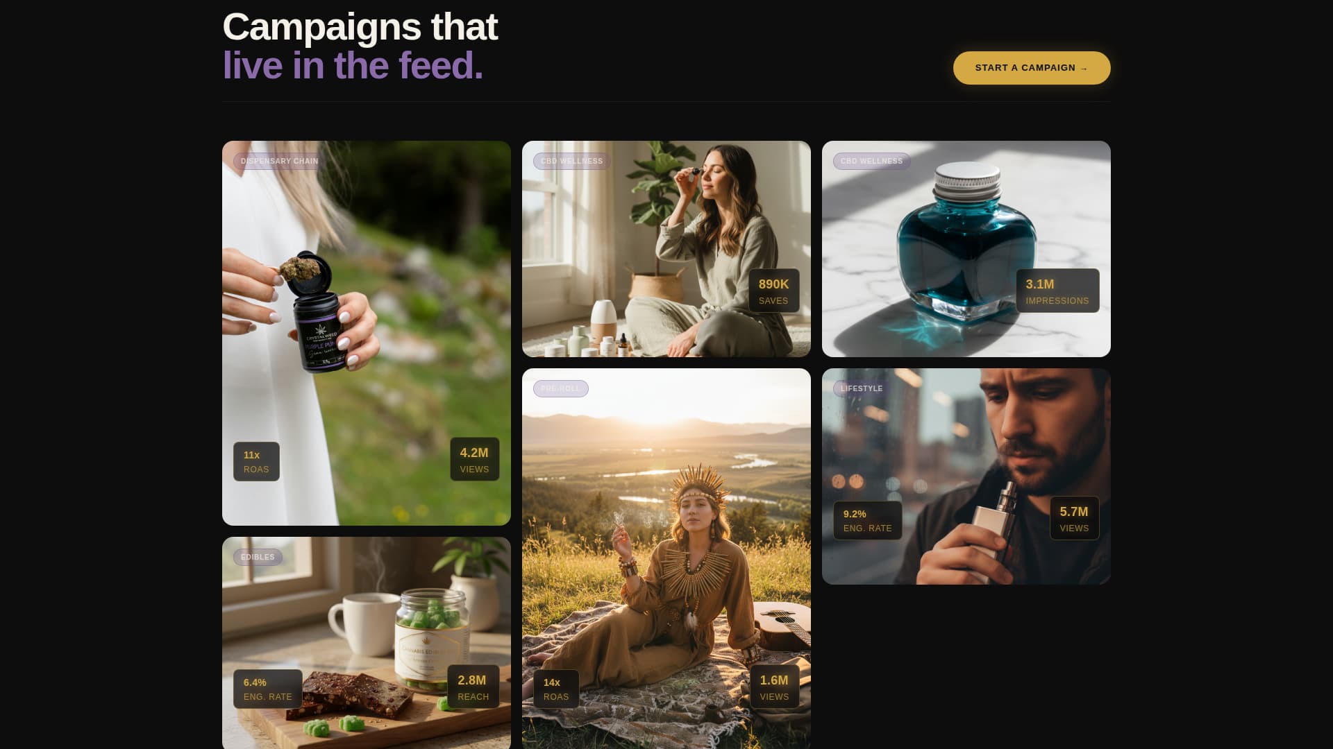 Elevate - Immersive Cannabis Landing Page Template