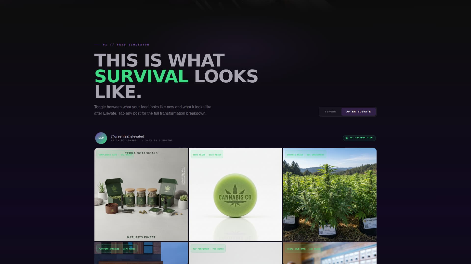 Elevate - Undeletable Cannabis Landing Page Template