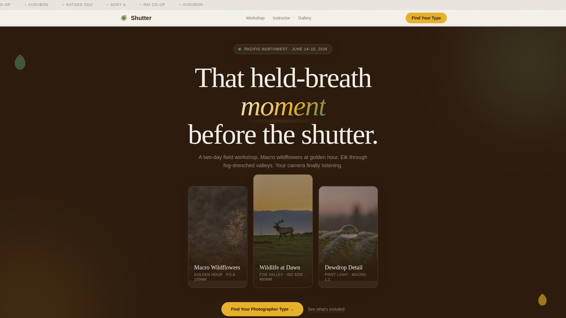 Outdoor & Adventure Education Advanced Professional Website Template
