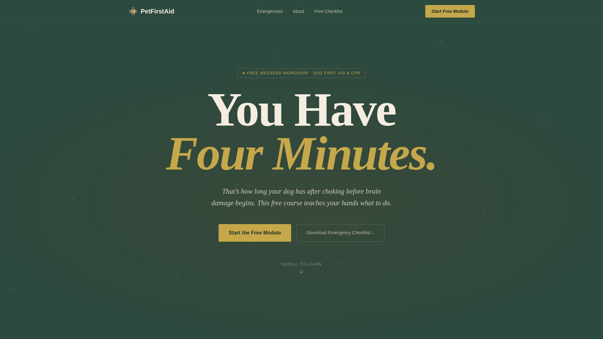 Specialized Certification & Programs Professional Website Template