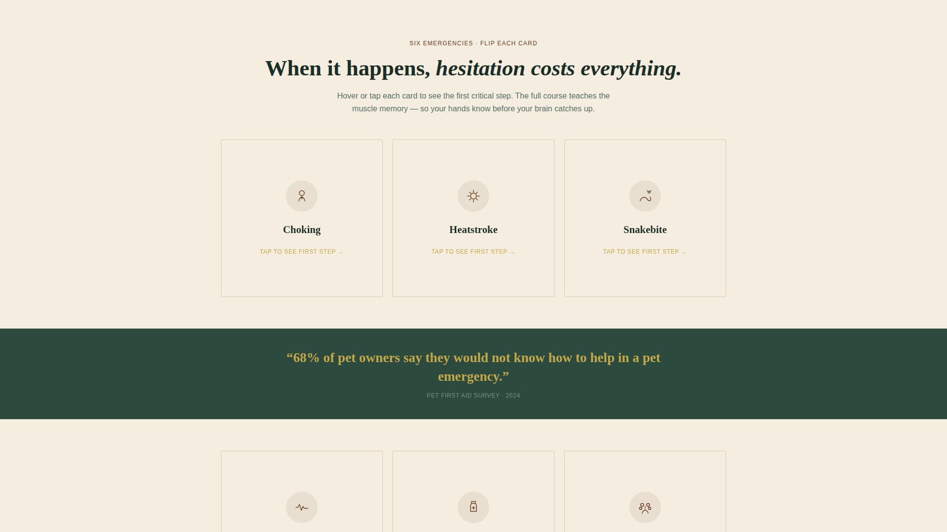 Specialized Certification & Programs Professional Website Template