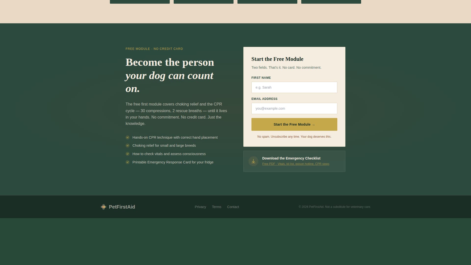 Specialized Certification & Programs Professional Website Template