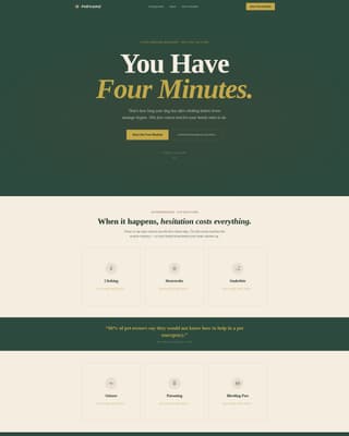 Specialized Certification & Programs Professional Website Template