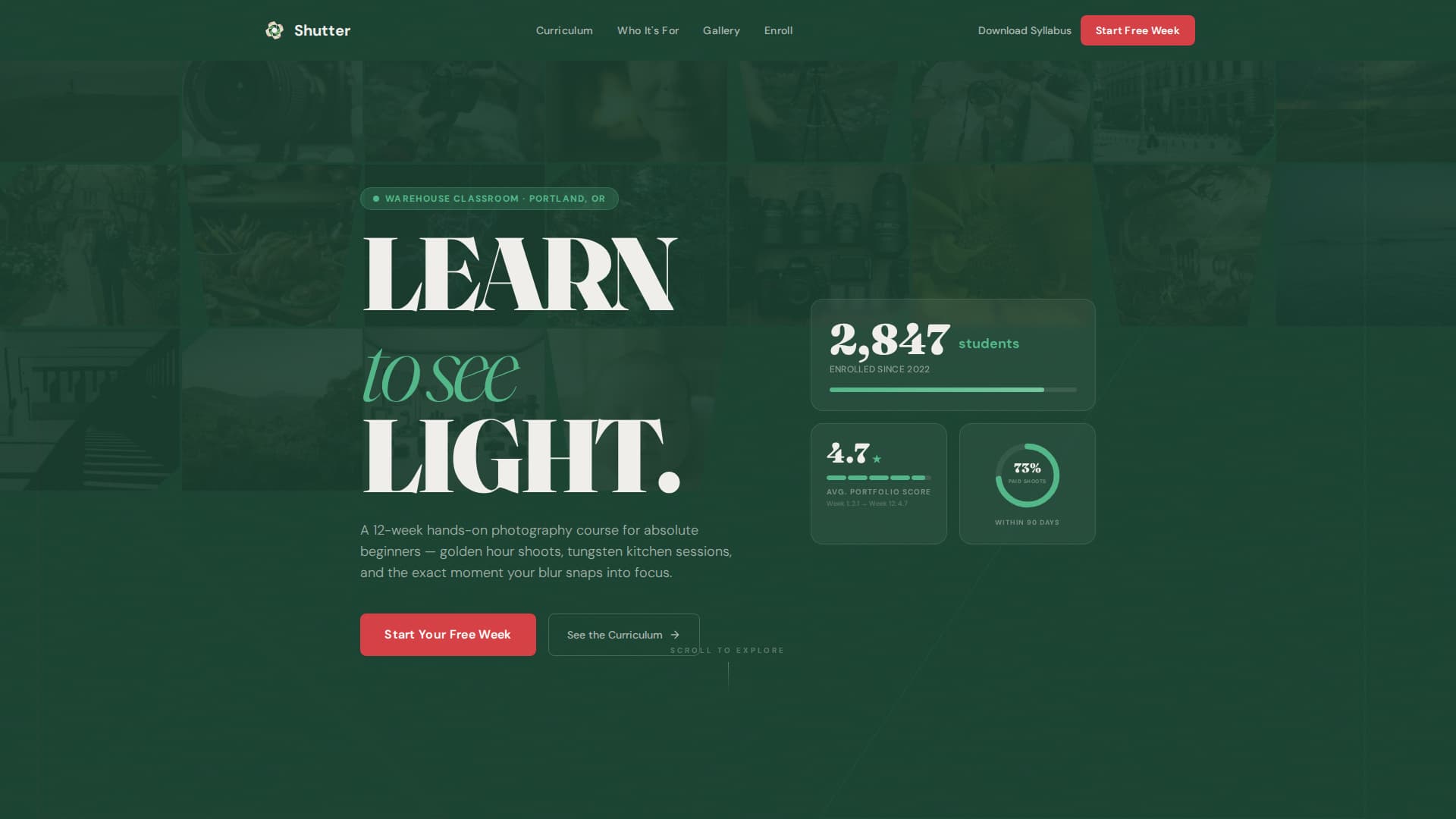 Art & Design School Professional Website Template