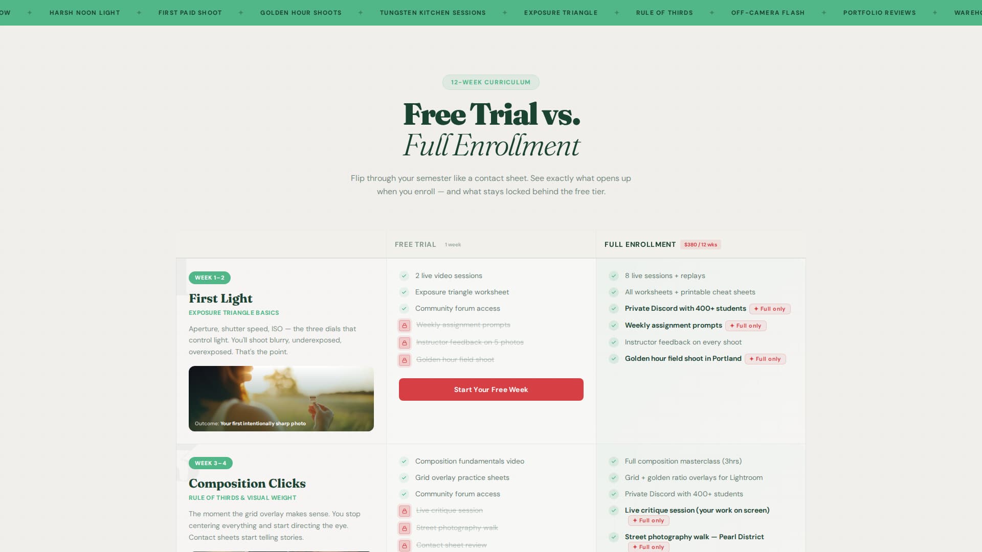 Art & Design School Professional Website Template
