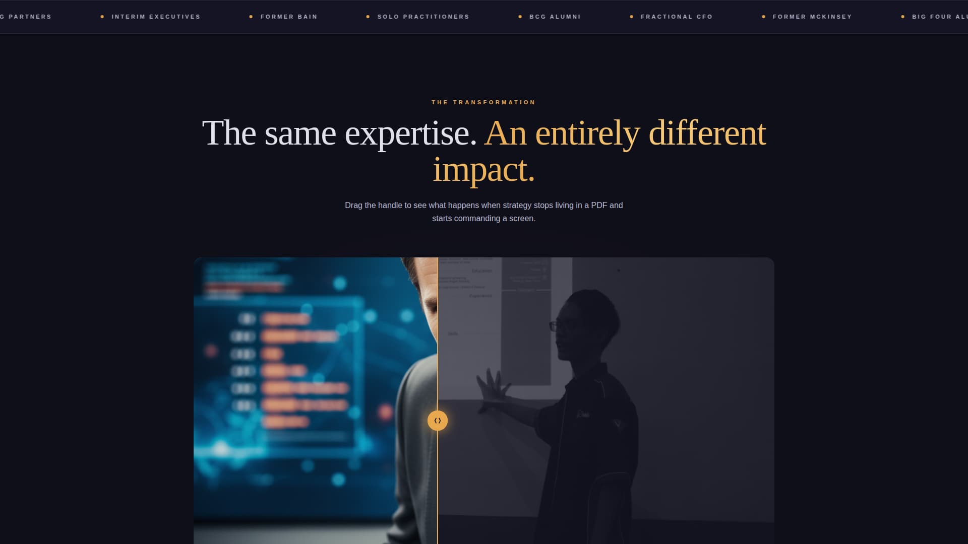 Consultant Career Specialist Professional Website Template