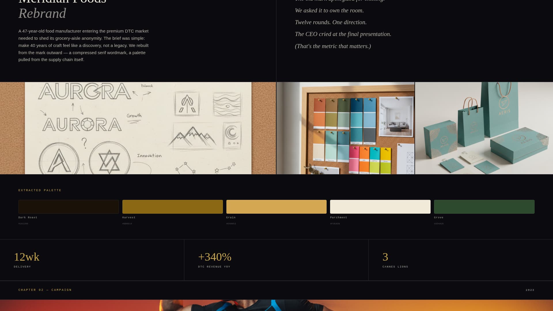 Creative Director Portfolio Advanced Pre-Launch Website Template