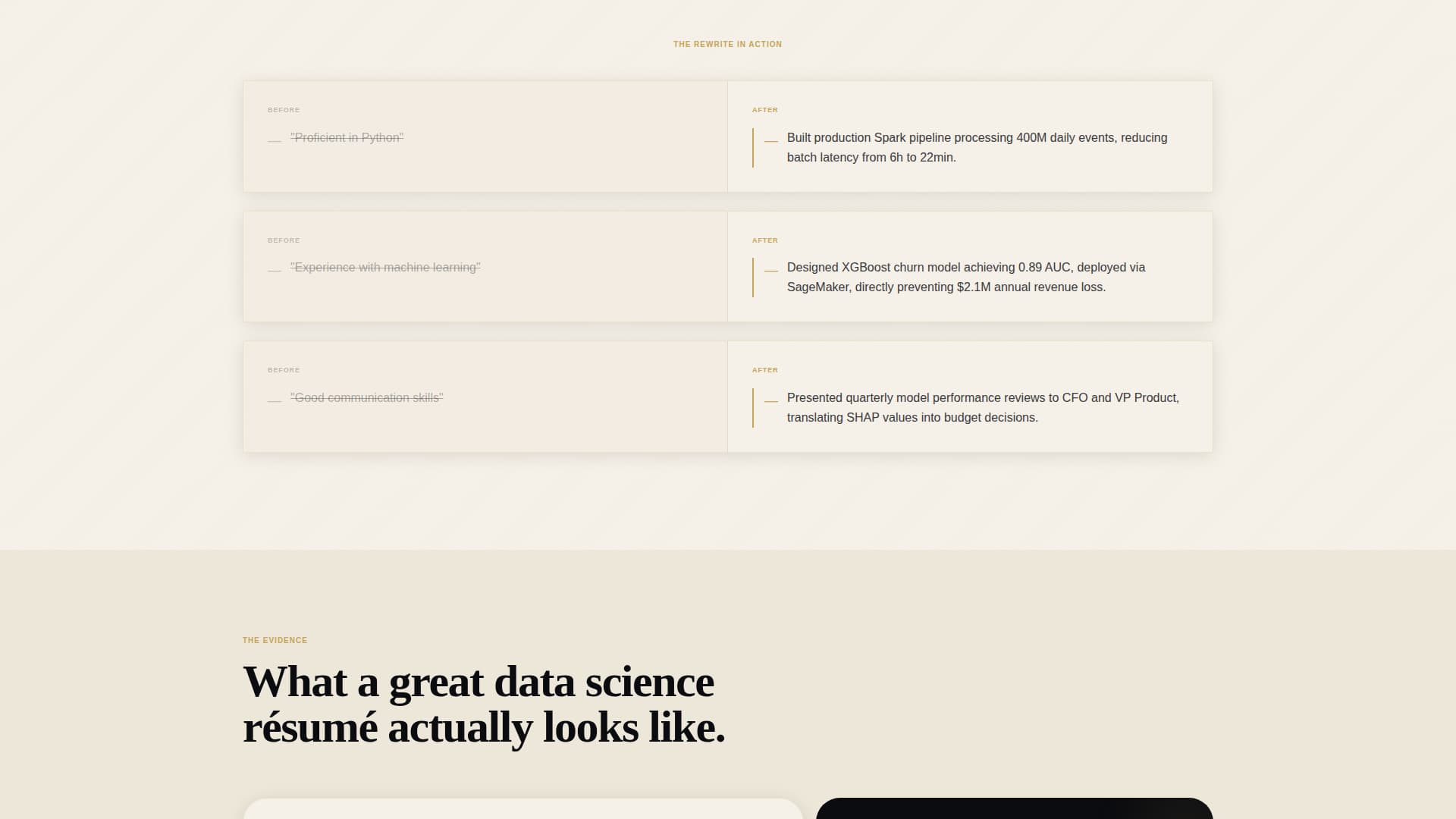 Data Scientist Profile Careers Website Template
