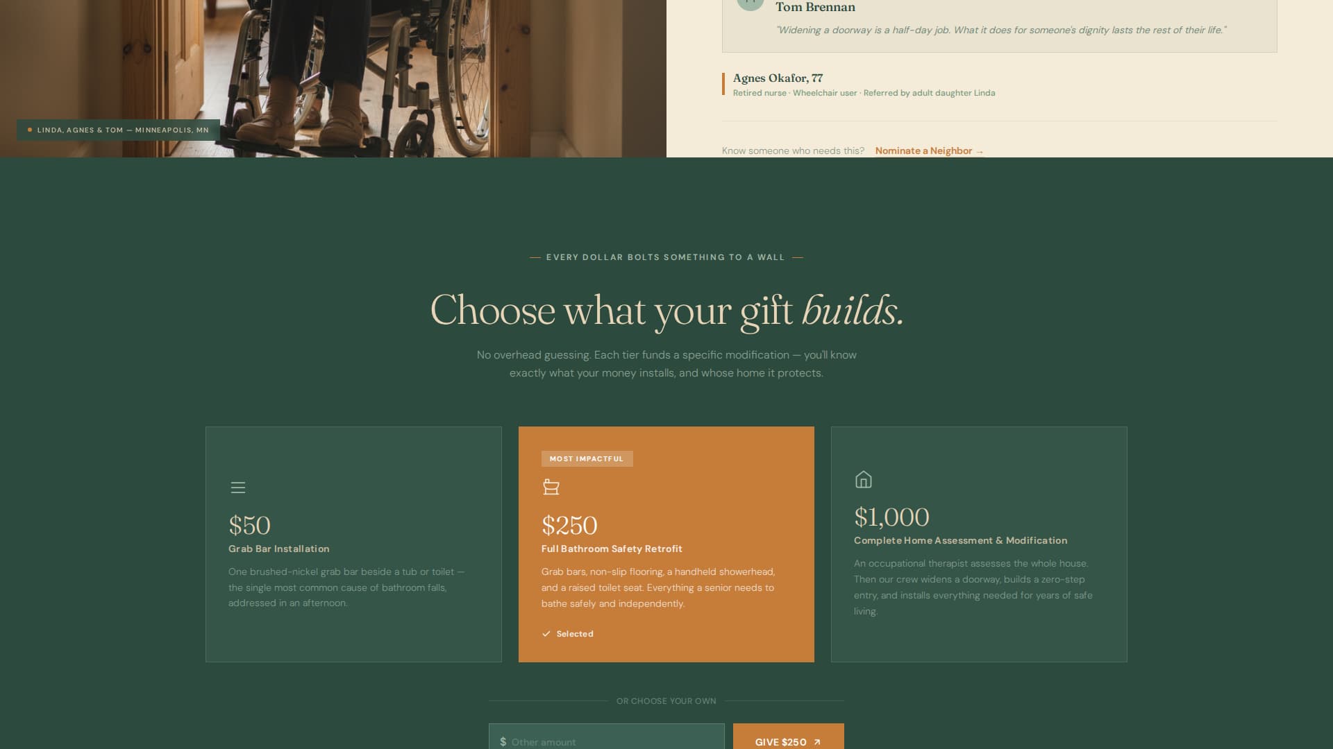 Homestead - Healing Seniorcare Landing Page Template