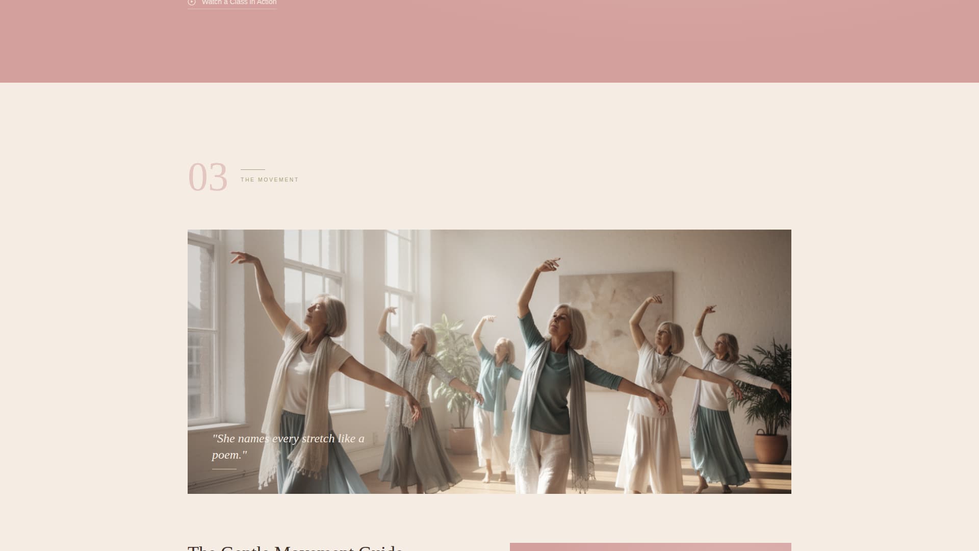 Sway - Graceful Senior Landing Page Template