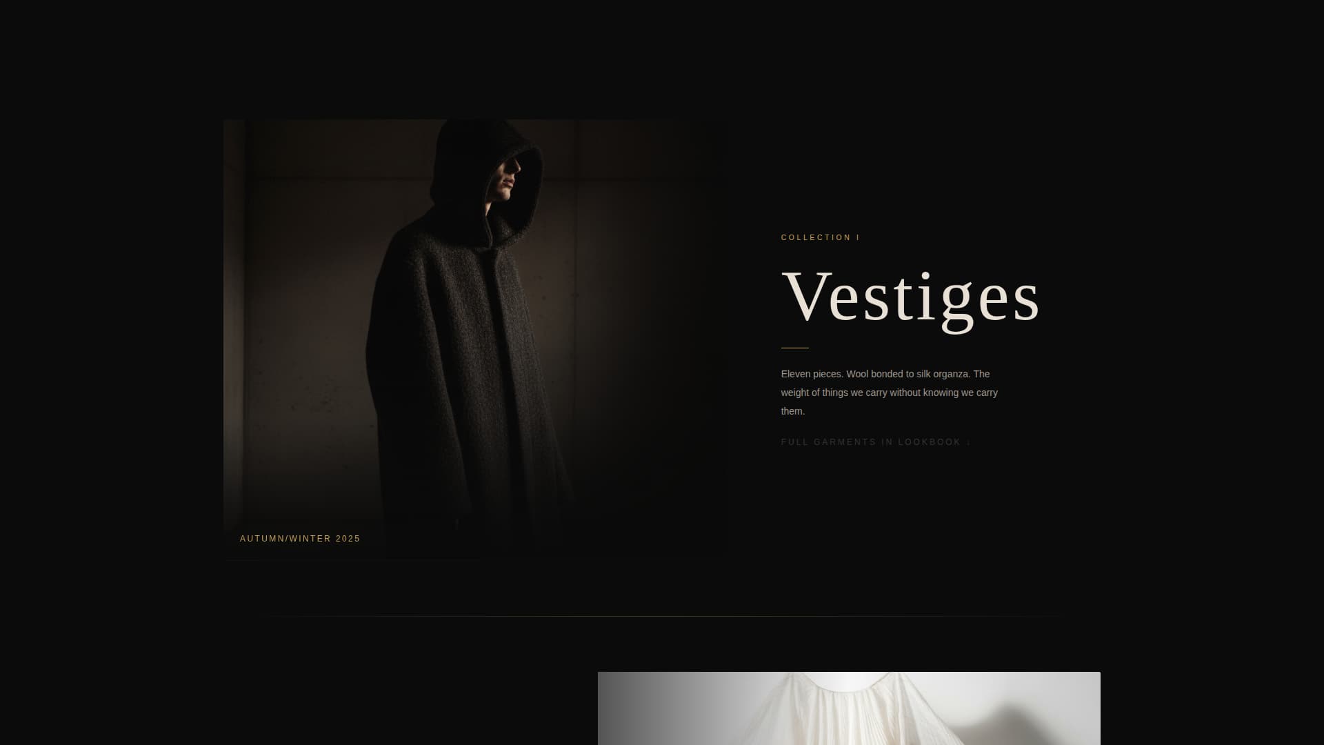 Fashion Designer Portfolio Professional Website Template