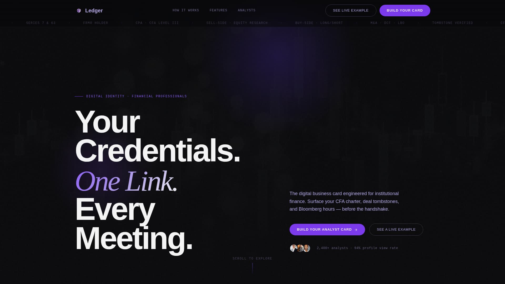 Financial Analyst Profile Specialist Professional Website Template