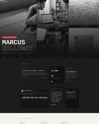 Financial Analyst Profile Professional Website Template