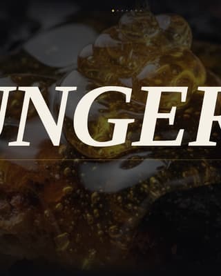 Savor - Immersive Food and Beverage Landing Page Template