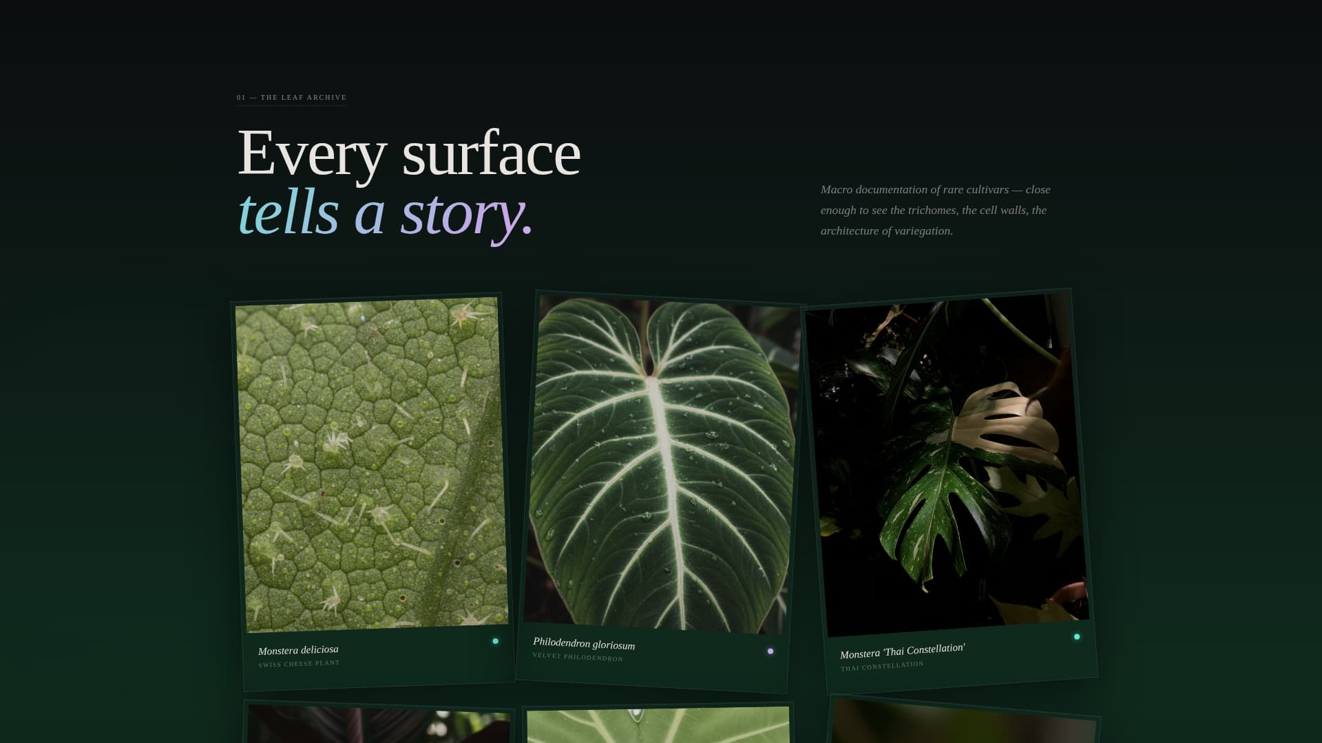 Bloom - Immersive Plantcollection Landing Page Template