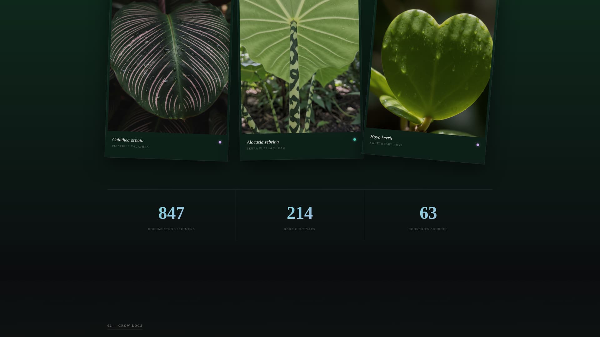 Bloom - Immersive Plantcollection Landing Page Template