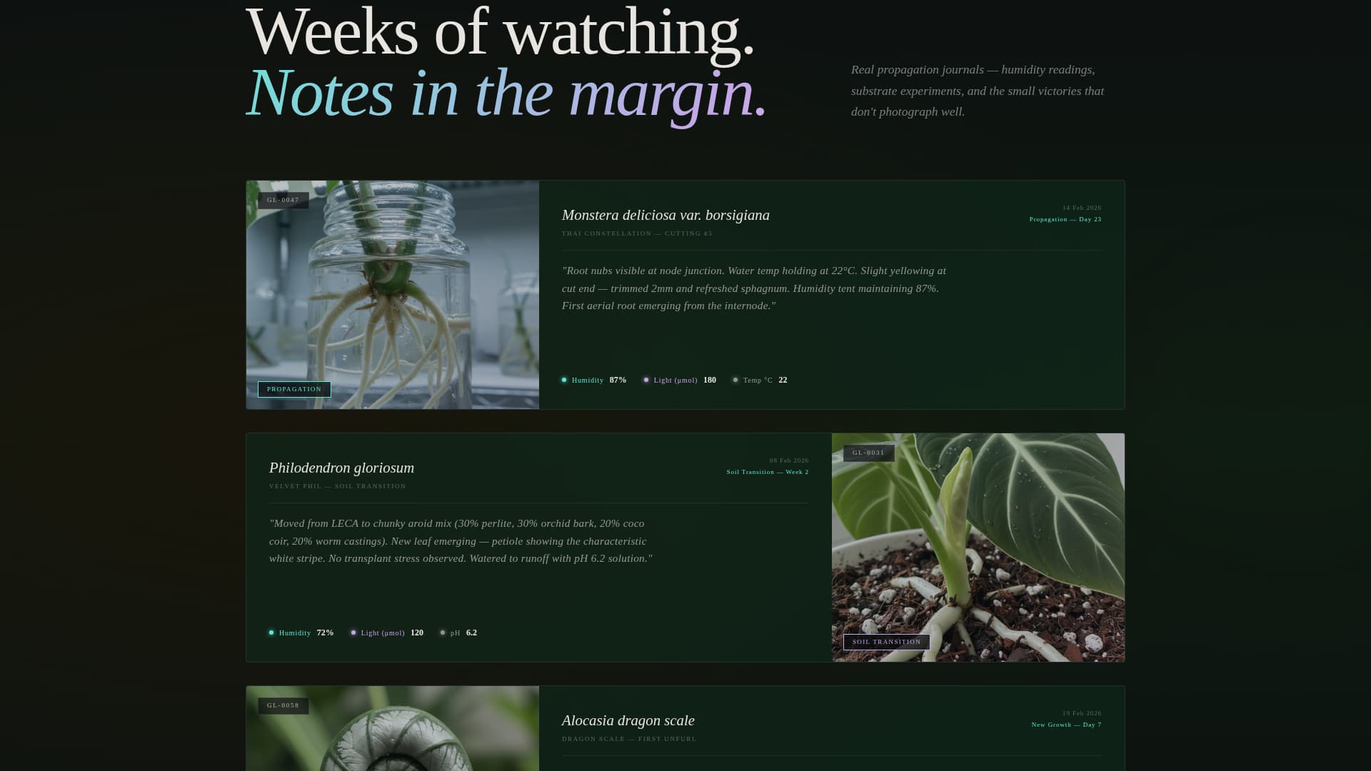 Bloom - Immersive Plantcollection Landing Page Template