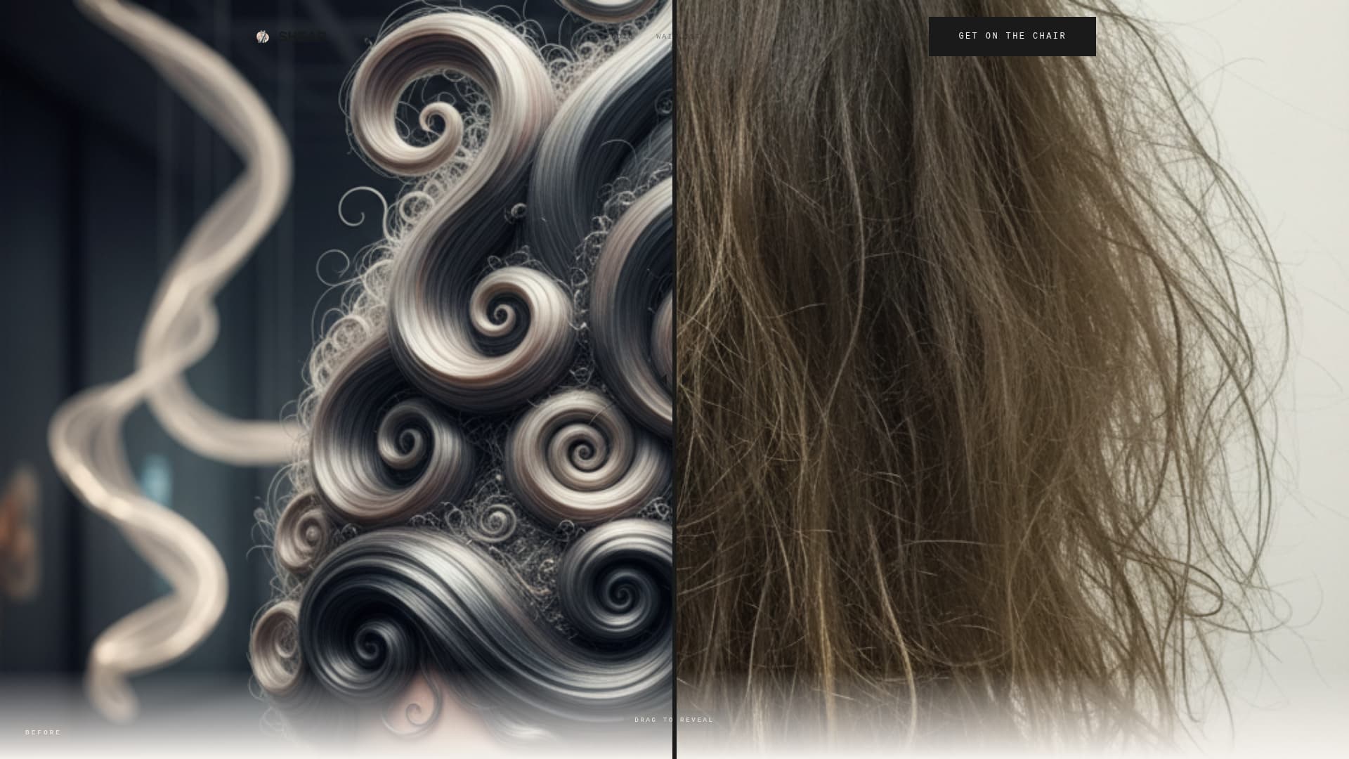 Shear - Unapologetic Hairportfolio Landing Page Template