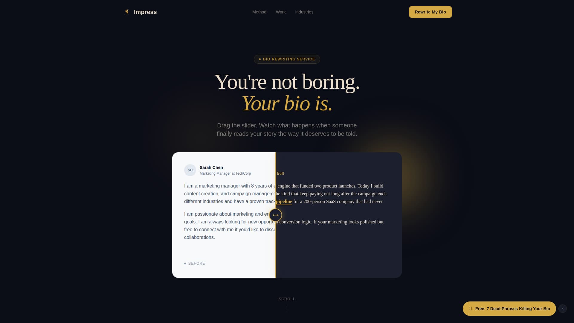 Impress - Magnetic Bio Landing Page Template