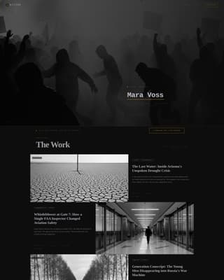 Journalist - Performancedriven Dark Landing Page Template