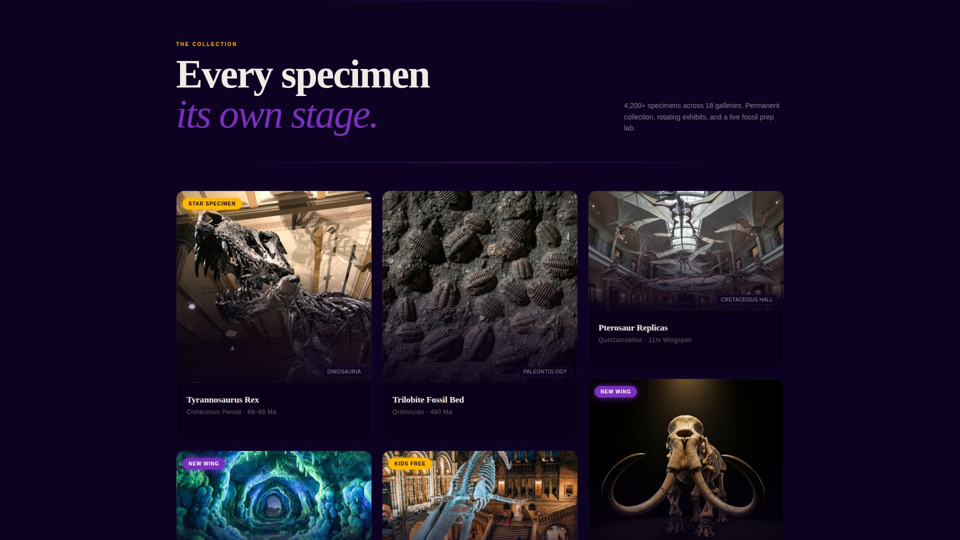 Fossil - Immersive Museum Landing Page Template