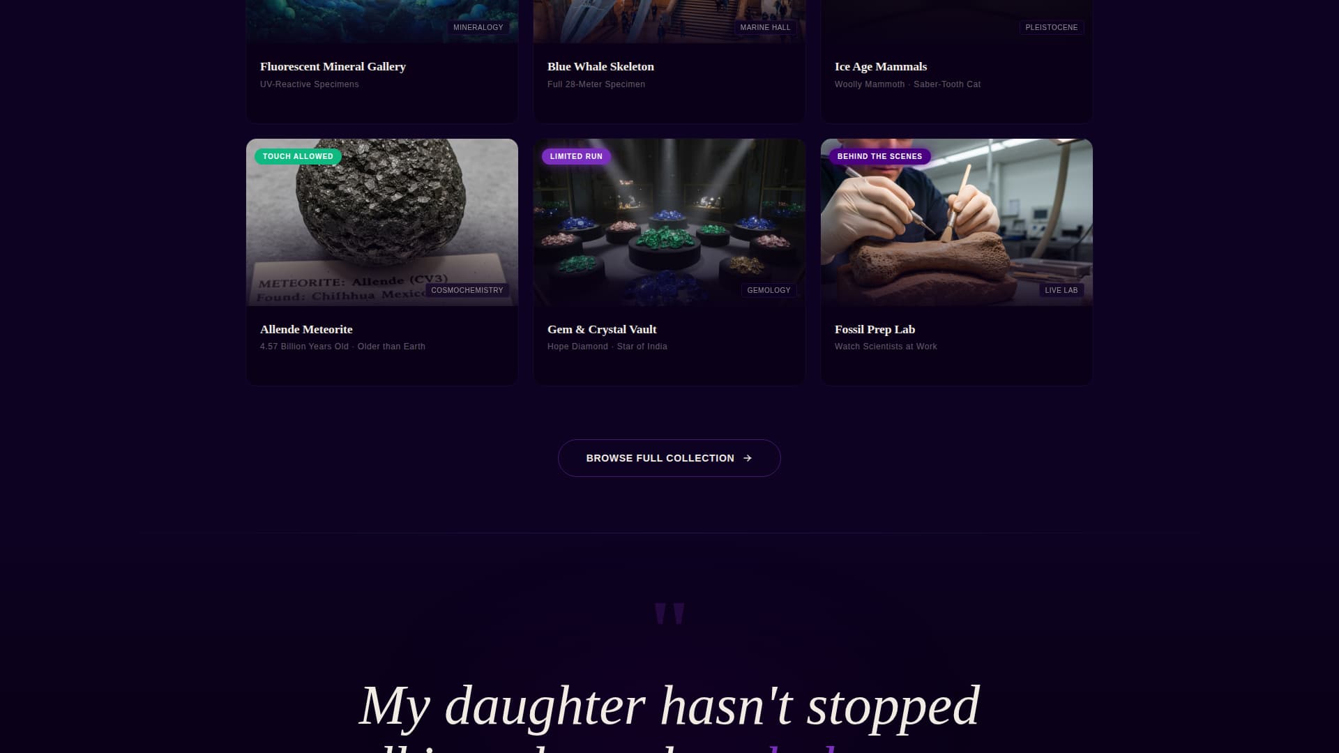 Fossil - Immersive Museum Landing Page Template