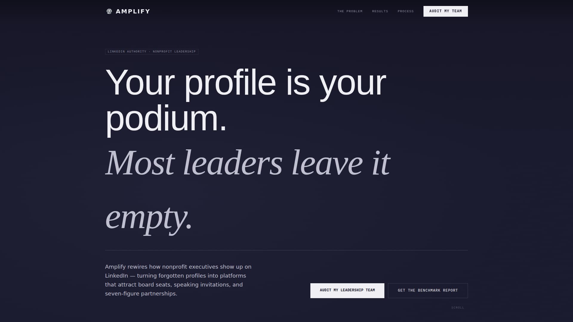 Nonprofit Leader Career Professional Website Template