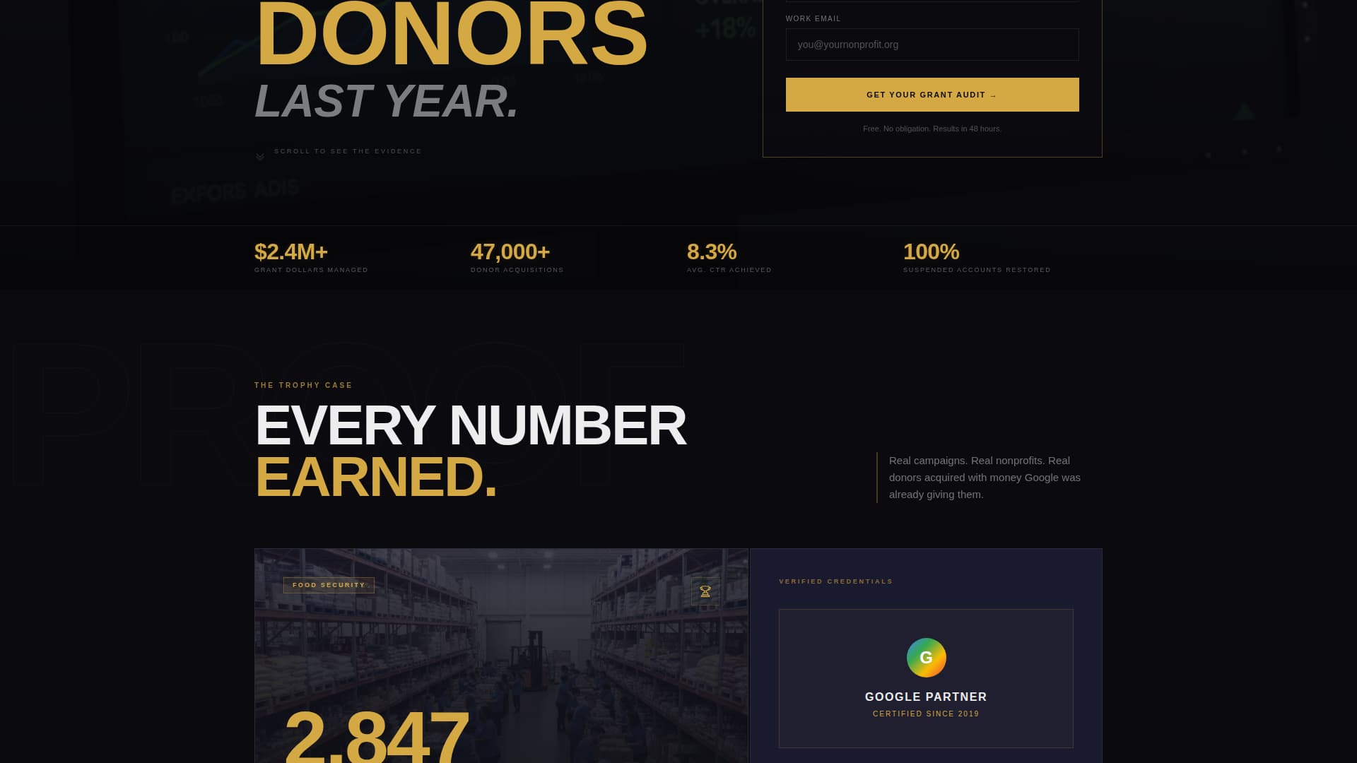 Nonprofit Marketing & Agency Specialist Portfolio Website Template