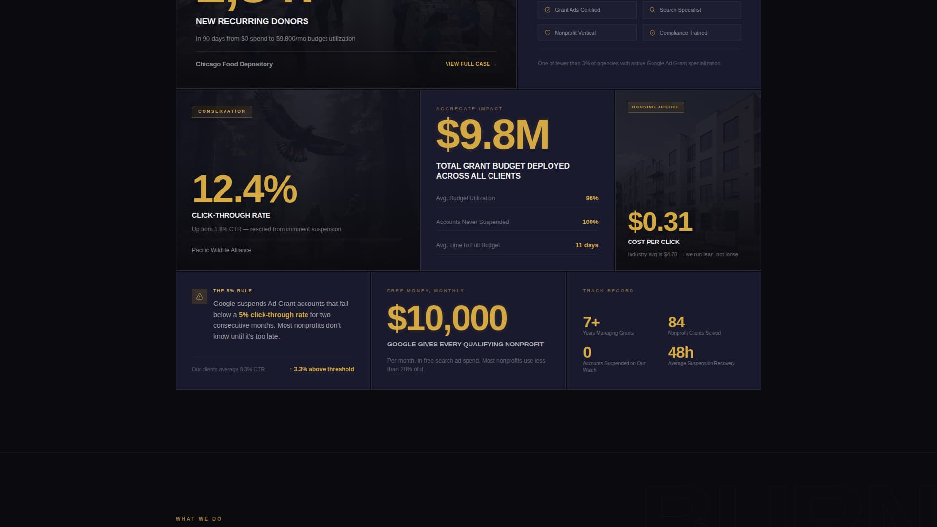 Nonprofit Marketing & Agency Specialist Portfolio Website Template